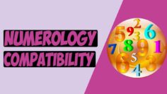 Numerology Compatibility and Life Path Number Compatibility / Your Numerology Compatibility Numbers