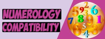 Numerology Compatibility and Life Path Number Compatibility / Your Numerology Compatibility Numbers