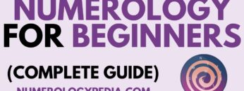 Numerology For Beginners: Numerology Explained Step By Step [Divided in Chapters]
