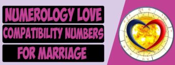 Numerology Love Compatibility Numbers For Marriage | Numerology Relationships Number [ REAL FACTS ]