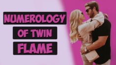 Numerology Of Twin Flames / Twin Flame Life Path Number / How To Find Your True Twin Flame