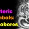 Ouroboros (and the point of European mosquitos) [Esoteric Saturdays]