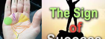 Palm reading | The sign of Success | The wealthiest palm | Palmistry