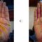 PALMISTRY AND PALM READING – BEGINNER LESSON