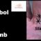 Palmistry Signs and Symbols: Star sign on the Thumb