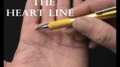 PALMISTRY-THE HEART LINE – JIM WINTER