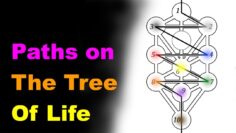 Paths on the Tree of Life [Esoteric Saturdays]