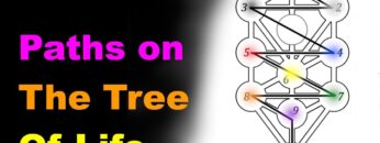 Paths on the Tree of Life [Esoteric Saturdays]