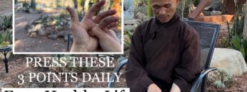 PRESS THESE 3 POINTS DAILY for A Healthy Life | Qigong Basic Acupressure Daily ( 4K Close Up)