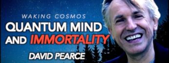 Quantum Mind, Transhumanism, and Paradise Engineering | David Pearce | Waking Cosmos