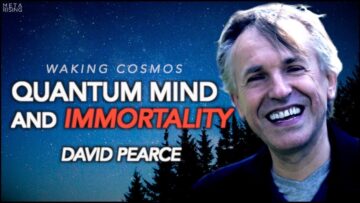 Quantum Mind, Transhumanism, and Paradise Engineering | David Pearce | Waking Cosmos