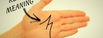 Real Meaning Of Letter M/M Sign On Your Palm-Palmistry