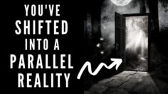 Reality Shifting Signs & Symptoms⎮Did I just go into a different reality?⎮PARALLEL REALITY SHIFT