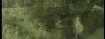 Reincarnation-Regression (banned video) 10/11