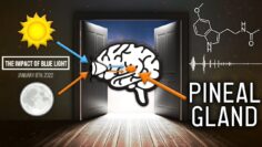 Remove Blue Light to Astral Project or Lucid Dream