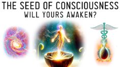 Sexual Alchemy: What Does Your Seed Create?