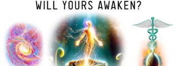 Sexual Alchemy: What Does Your Seed Create?