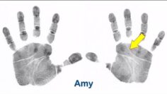 Should you look at your right hand, or your left hand? – by palm-reading.org