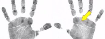 Should you look at your right hand, or your left hand? – by palm-reading.org