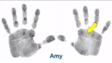 Should you look at your right hand, or your left hand? – by palm-reading.org