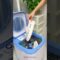 Smart Appliances, Gadgets For Every Home/ Versatile Utensils(Inventions & Ideas) #Shorts