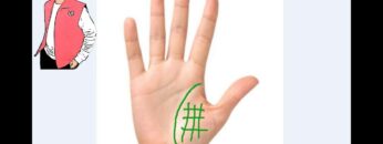 Some Special Signs on Venus Mount – Palmistry