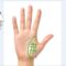 Some Special Signs on Venus Mount – Palmistry