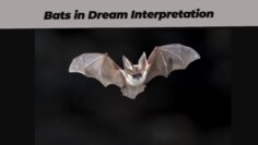 Spiritual Meaning of Bats in Dream Interpretation: Insights and Symbolism