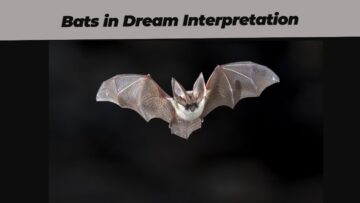 Spiritual Meaning of Bats in Dream Interpretation: Insights and Symbolism