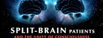 Split-Brain Patients and the Unity of Consciousness | Documentary