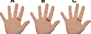 Strong Psychic Abilities-Ring Of Solomon In Palmistry