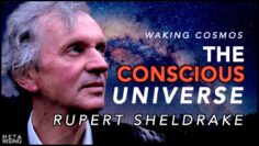The Conscious Universe with Rupert Sheldrake Ph.D. | Waking Cosmos
