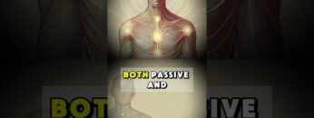 The Dual Role of Your Hands in Energy Work