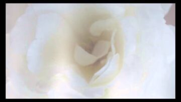 The Fifth Lesson – Thought Dynamics—The nature, quality and power of Thought