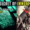 The Forbidden Knowledge of the Emerald Tablets of Thoth