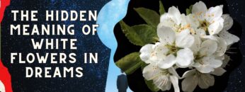 The Hidden Meaning of White Flowers in Dreams: A Symbol of Purity and Renewal