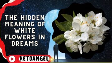 The Hidden Meaning of White Flowers in Dreams: A Symbol of Purity and Renewal