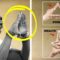 The Hidden Power of Sacred Hand Gestures | “THE RESULT WILL GET YOU ADDICTED”
