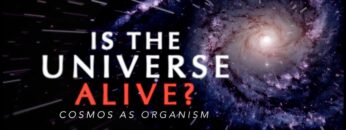 The Living Universe – Documentary about Consciousness and Reality | Waking Cosmos