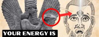 The Magic WITHIN YOU & How To ACTIVATE IT Through Your PINEAL GLAND