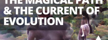 The Magical Path & the Current of Evolution: A Deep Dive Discussion