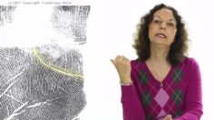 The Ring of Solomon – Amazing Changes in Palmistry