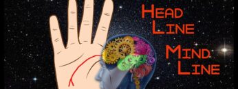 The Second Important Line in our Palm | Head line or Mind line in our palm