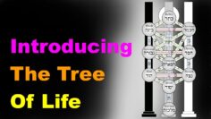 The Tree of Life: A Beginners Guide [Esoteric Saturdays]