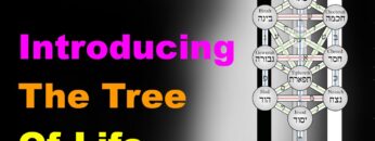 The Tree of Life: A Beginners Guide [Esoteric Saturdays]