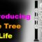 The Tree of Life: A Beginners Guide [Esoteric Saturdays]