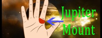 This mount represents Leadership | Jupiter Mount | Guru Parvat