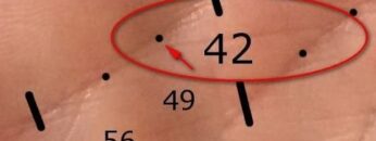 Timing on the Hand Lines