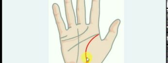 Verious Symbols in Life line | palmistry