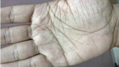 Very lucky male hand. बहुत भाग्यशाली.palmistry reading in hindi.